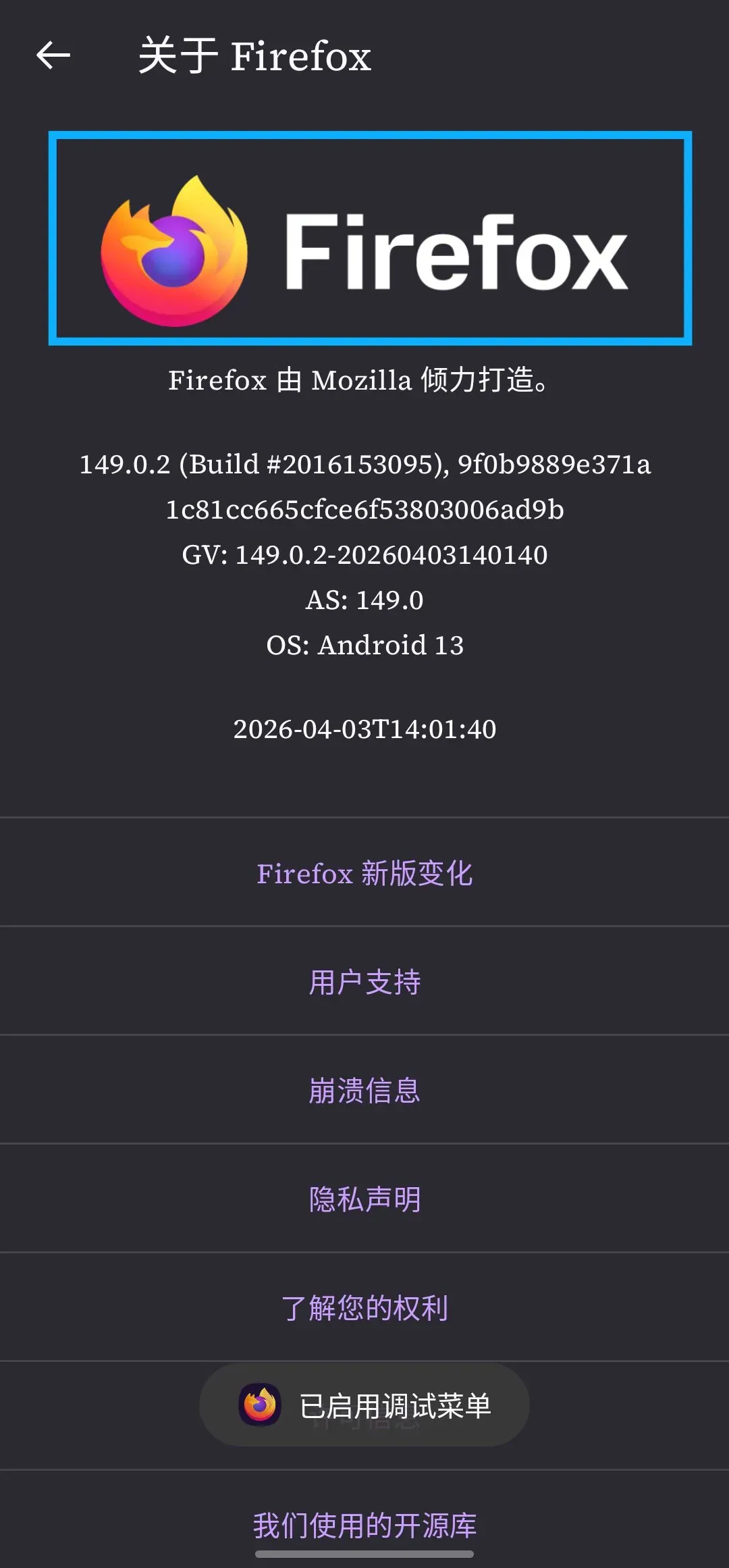 open-firefox-debug-mode